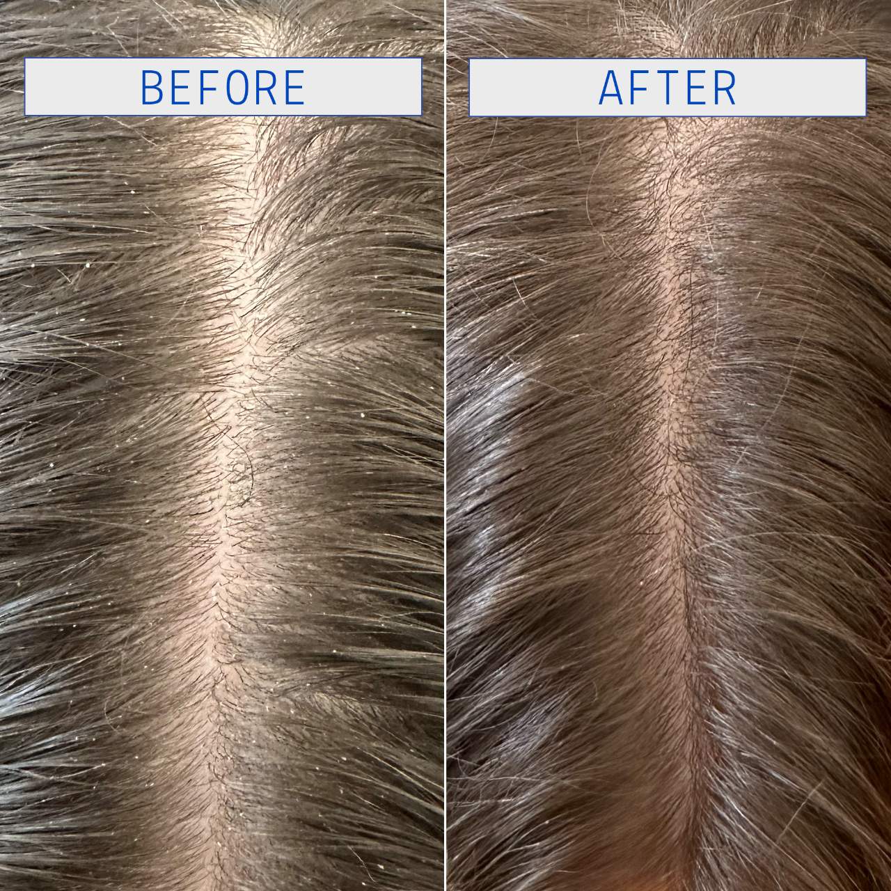 Curling Perfection, Defining Purifies Scalp Set of 2