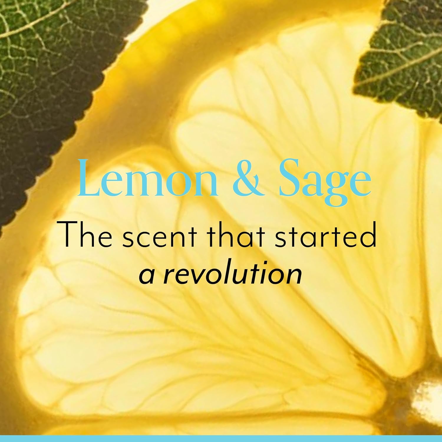 Lemon and Sage Body Butter