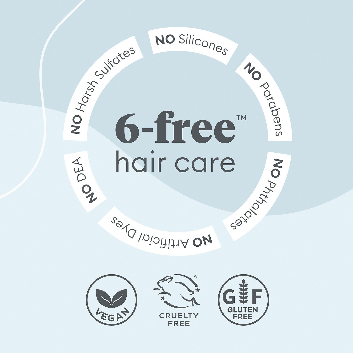 Organic Charcoal Tea Tree for Scalp Treatment Set