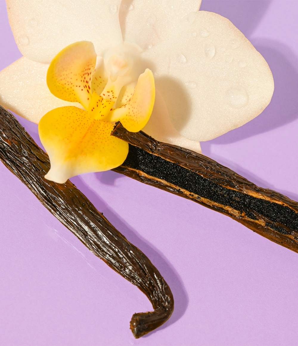 Shea Better Body Lotion- Vanilla Cashmere