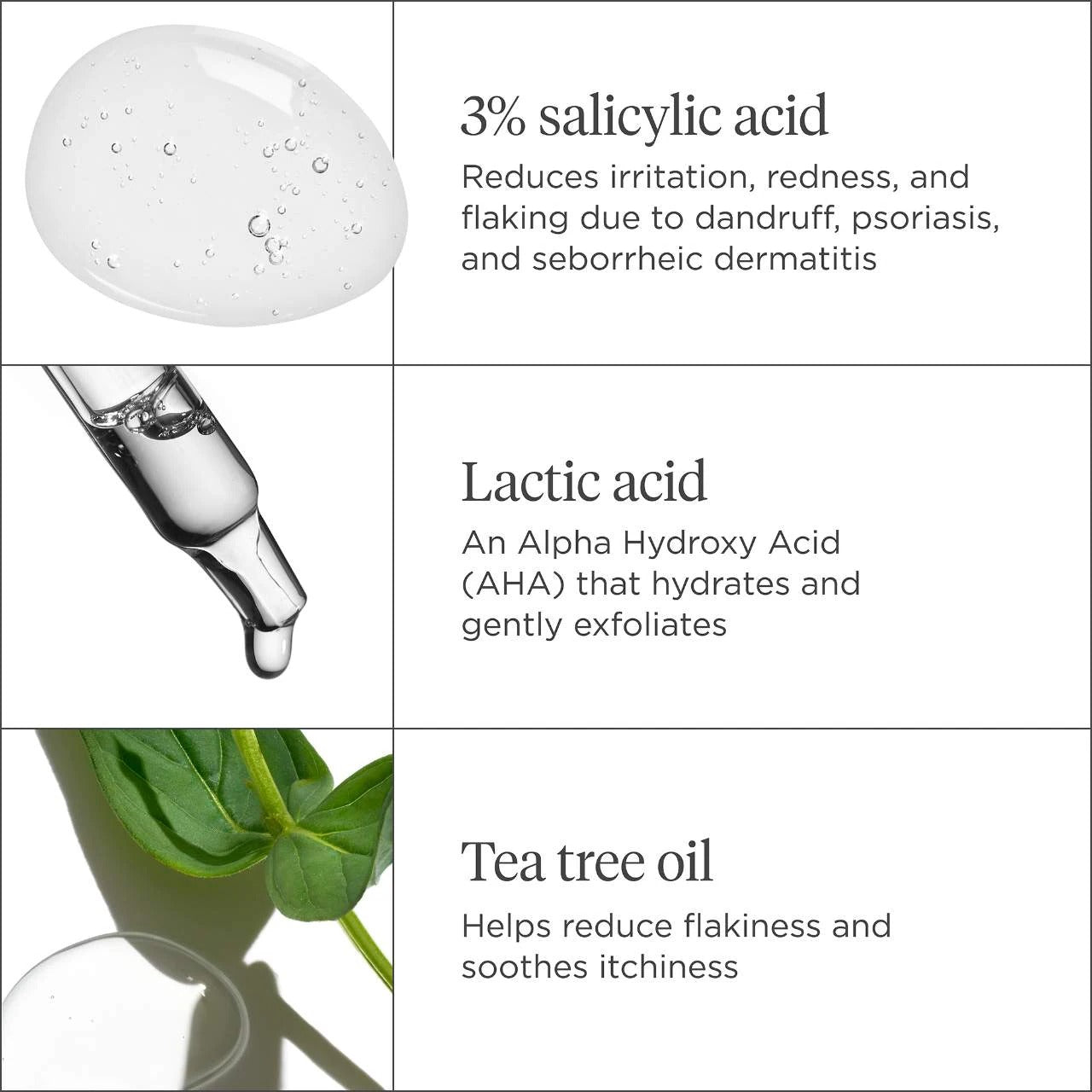 Organic Charcoal Tea Tree for Scalp Treatment Set